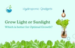Grow Light or Sunlight - Which is better for Optimal Growth?