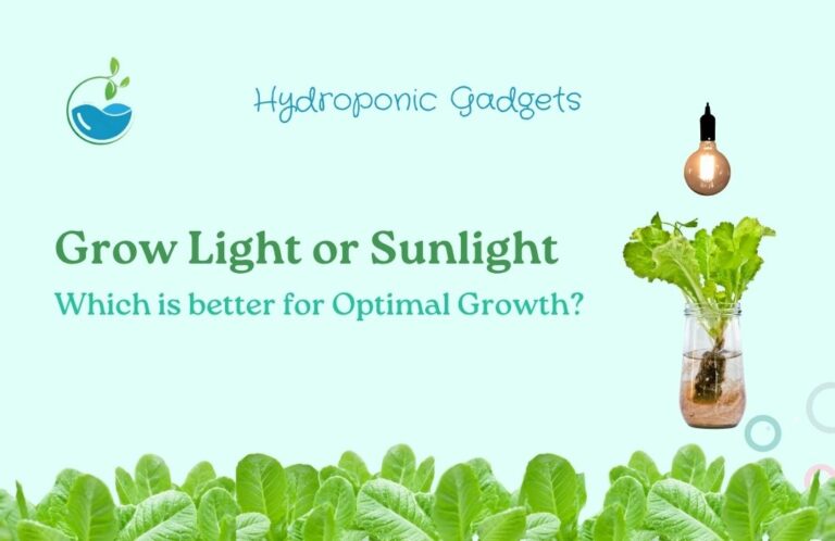Grow Light or Sunlight - Which is better for Optimal Growth?
